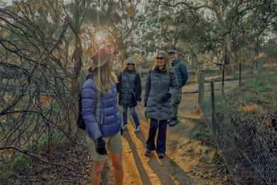 Melbourne: Walk the Yarra to Heritage Abbotsford Convent