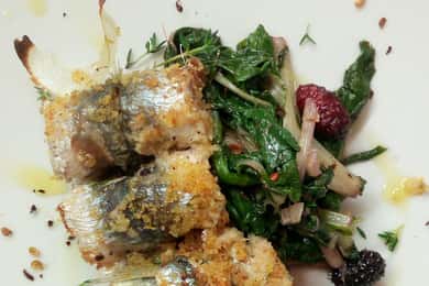 Lunch or dinner, wine tasting in the countryside of Noto