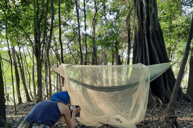 Manaos: 2, 3 ó 4 días en la Experiencia Supervivencia Amazónica