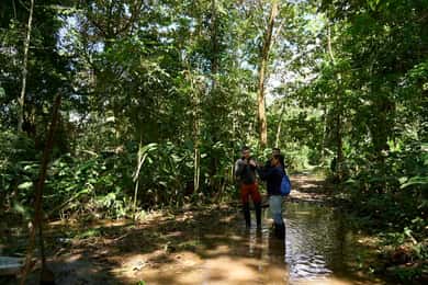 Iquitos: Aventura y expedición en el Amazonas, tour de 3 días