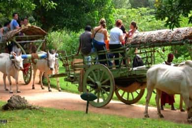 Dambulla: Grotten Tempel & Traditionele Dorpstour met Lunch