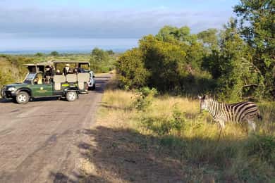 Kruger National Park half day