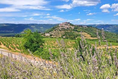 Croazia, Istria: Tour Premium di 7 giorni in bici e bici da gourmet