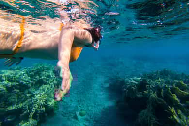 Cartagena: Rosario Islands by Catamaran with Snorkeling, Buffet, and Open Bar
