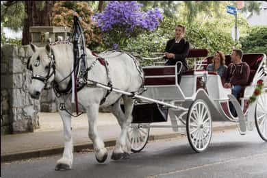 NYC: Privat hästvagnstur i Central Park med guide