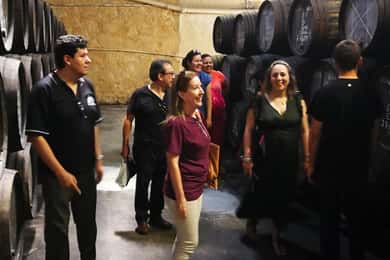 Private day tour of Olive Oil , Salt Flats and Winery