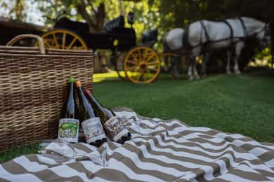 Zuccardi's Santa Julia Bike Tour + Prova de vinhos + Almoço completo