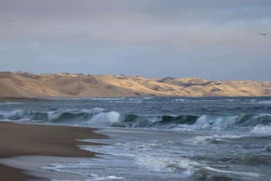 Vanuit Walvis Bay: Sandwich Harbour, werelderfgoed