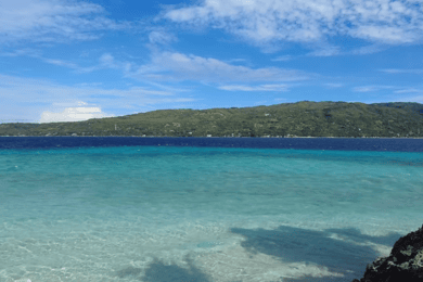 Cebu: Observação de tubarões-baleia, Cataratas de Tumalog e Ilha Sumilon