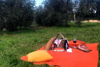 Maremma: outdoor lunch with local products