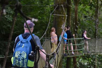 Manuel Antonio: Hängande broar och vattenfallstur