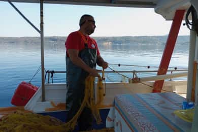 Chania Fishing with Nets: Catch&Cook with a Local Fisherman