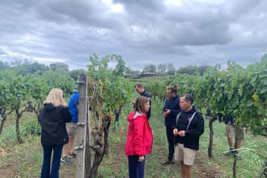 Wine Tasting and Tour of Taormina and Messina starting from Messina