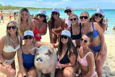 L'île Rose : Location d'un yacht privé