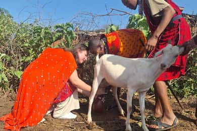 From Nairobi: Maasai traditional village day tour