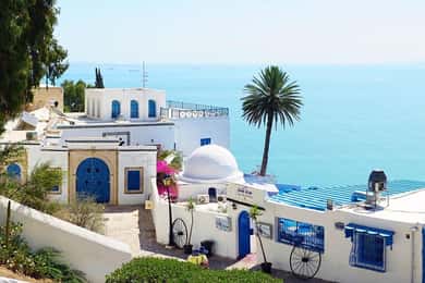 Hammamet : Carthage, Sidi Bou Said et la médina de Tunis avec déjeuner