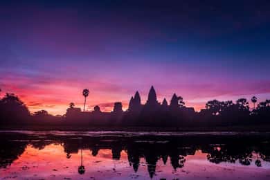 Angkor Wat : lever du soleil : visite du temple Ta Prohm et du temple Bayon