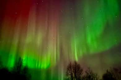 Inari/Ivalo: Auroran metsästysretki autolla ja lämpimät juomat