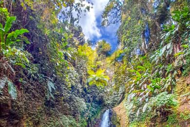 Chasing Waterfalls Grenada: Unveiling Nature’s Hidden Gems