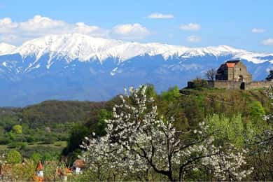 From Sibiu: Blue Line & City Tour Sighisoara - UNESCO