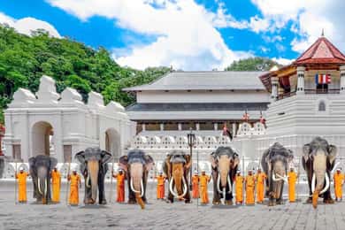 Kandy: tour guidato della città con visita al Tempio del Dente Sacro