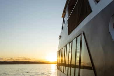 Lake Macquarie: Middagskryssning med grillning vid solnedgången