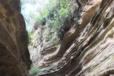 Lake Naivasha and hellsgate day tour from Nairobi