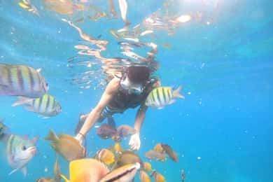 From Bali: Nusa Penida Tour with Private Snorkeling & Lunch