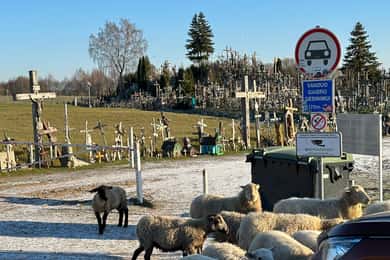 De Riga: Viagem ao Monte das Cruzes, Palácio Rundale e Bauska