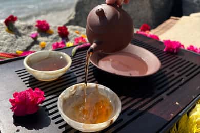 Santa Barbara: Nature Edition Trail Hike and Tea Ceremony