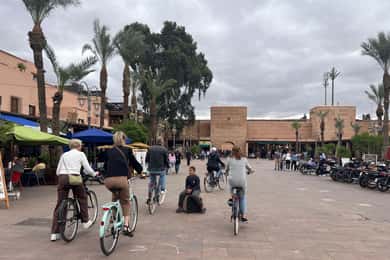 Excursão holandesa de 1 dia: Bicicleta, almoço local e souks em Marraquexe