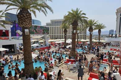 Las Vegas: Pool Crawl met partybus, open bar en VIP-toegang