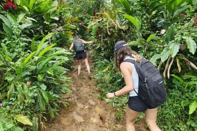 Samoa: Lake Lanoto'o Volcanic Crater Lake Hike & Swim