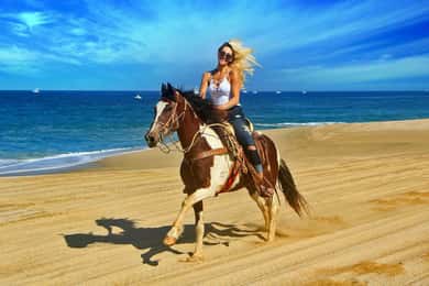 Agadir/Taghazout : Quad Bike & Horse Ride On The Beach