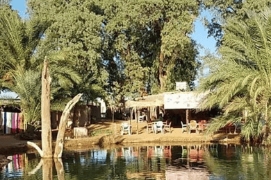 From Douz : One Day in Ksar Ghilene Oasis & Sand Dunes
