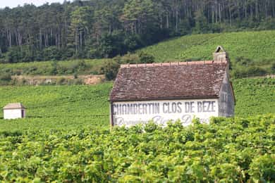 "Route des grands crus", ¡cata privada de vinos en Borgoña!