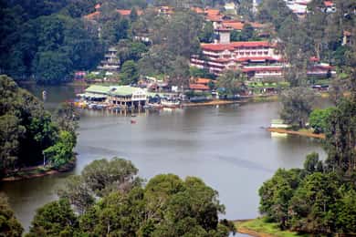 Tour privado de un día : De Madurai a la Encantadora Kodaikanal