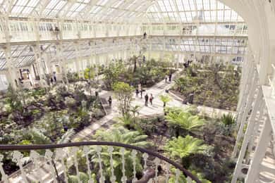 Westminster Walking Tour and Visit to Kew Gardens