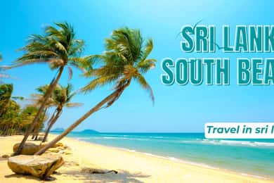 "Sri Lanka 2-Day Tour: Explore Hikkaduwa, Galle & Yala"