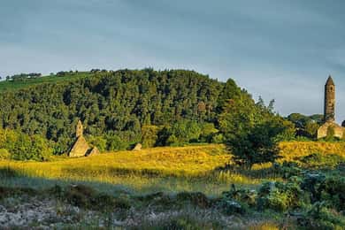 Shore Tour from Dublin: Wicklow Mountains & Dublin