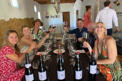 Cape Town: Full-Day Private Cape Winelands Tour and Tastings