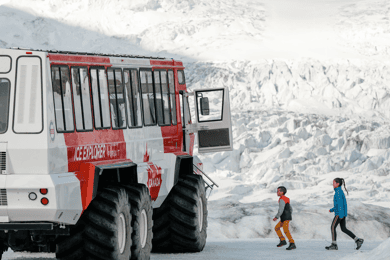 Columbia Icefield, Peyto Lake, Bow Lake Discovery Tour