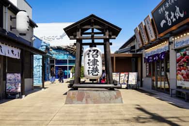 De Tóquio: Excursão de um dia ao Porto de Numazu e Gotemba Outlets