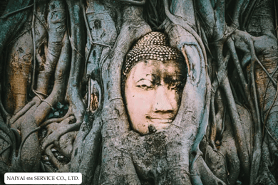 Full Day Ayutthaya & Wat Tha Ka Rong Floating Market