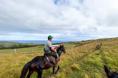 Excursão a cavalo pelo Terevaka: O ponto mais alto e a vista de 360°.