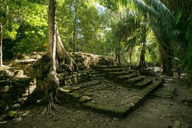Costa Maya: Chacchoben Shore Excursion