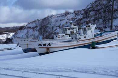 Excursión de un día a la estación de esquí de Niseko en Hokkaido