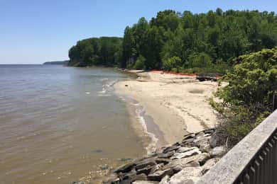 Chesapeake Beach: Guidet vandretur til klipperne