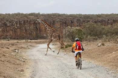 Tour di un giorno del Parco Nazionale di Hell's Gate e del Lago Naivasha