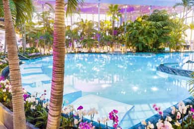 Bucuresti: Bucuresti Therme Transfer and Full-Day Access
